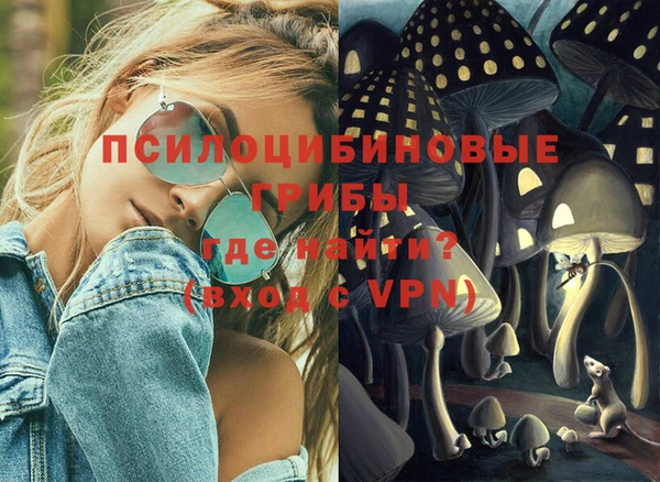 шишки Волосово