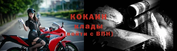 шишки Волосово