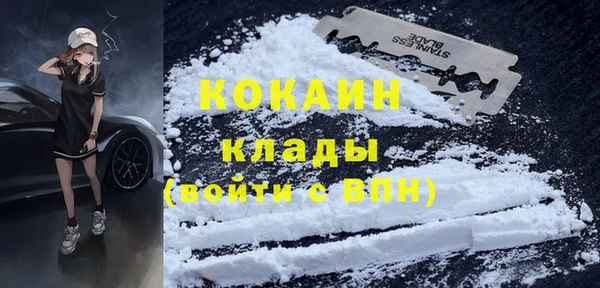 шишки Волосово