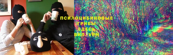 дурь Володарск