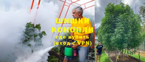 дурь Володарск