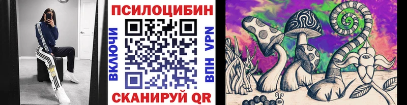 сколько стоит  hydra ссылка  Псилоцибиновые грибы Cubensis  Ярцево 